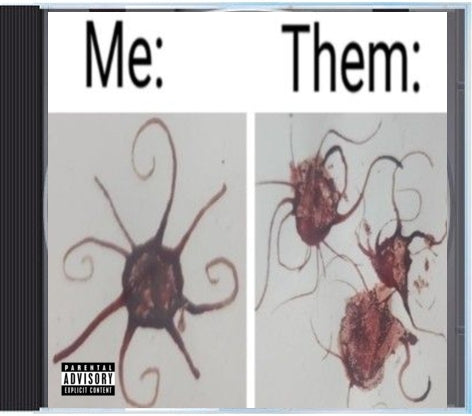 Xul - Me: / Them:  NEW XUL TAPE PHYSICAL CD LIMITED STOCK 11 TRACKS NO FEATURES